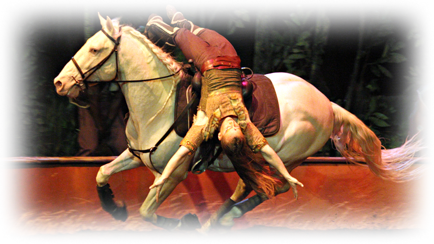 Cavalia Inc (854x480), Png Download