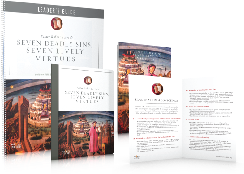 Seven Deadly Sins, Seven Lively Virtues Leader's Kit - Seven Deadly Sins, Seven Lively Virtues Leader Guide (800x800), Png Download