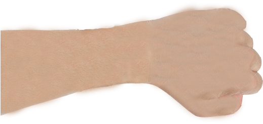Hand Hand To Try Watch On - Mannequin (765x408), Png Download