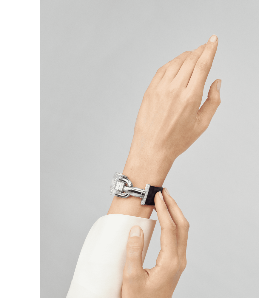 Cadenas Watch,satin Finish Alligator, Square Scale - Bracelet (1000x1000), Png Download