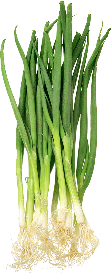 Spring Onion - Scallion (847x1000), Png Download
