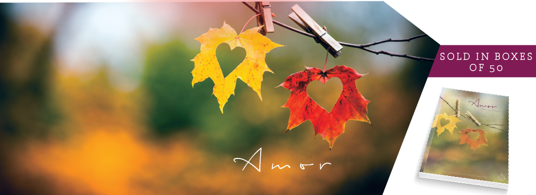 Amor - Dil Ke Zarokho Se (દિલકે ઝરોખોં સે) (1100x400), Png Download