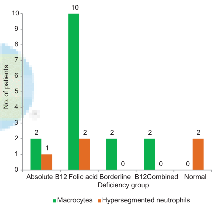 The Distribution Of Macrophages And Hypersegmented - Diagram (726x704), Png Download