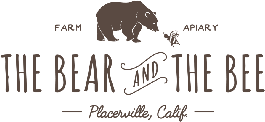 Bear Logo Png (1000x833), Png Download