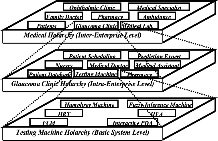 Medical Holarchy - Diagram (769x492), Png Download