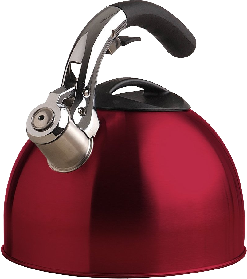 Download - Primula Soft-grip Tea Kettle, Stainless Steel (804x908), Png Download