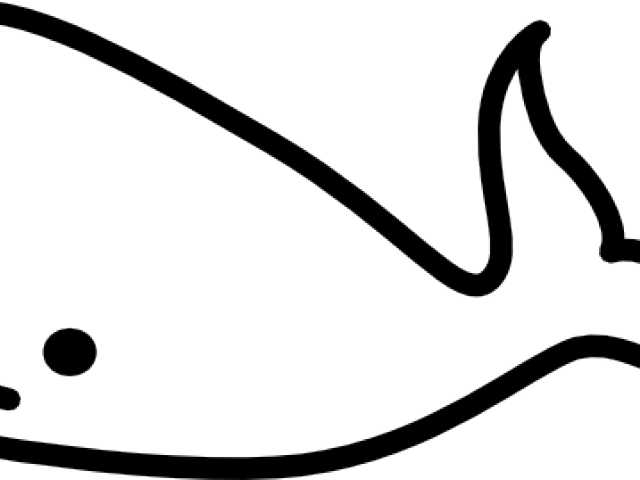 Whale Clip Art (640x480), Png Download