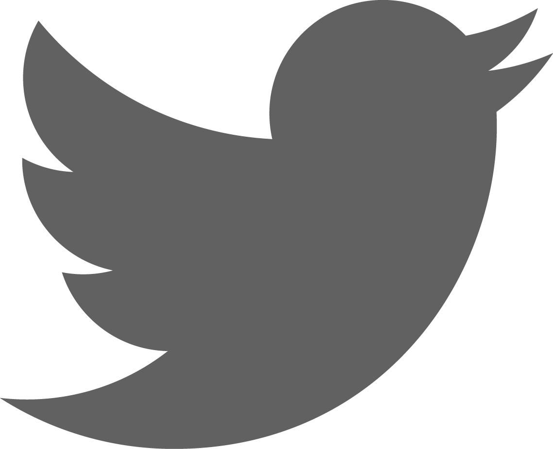Twitter Logo - Twitter Red Logo Png (1139x926), Png Download
