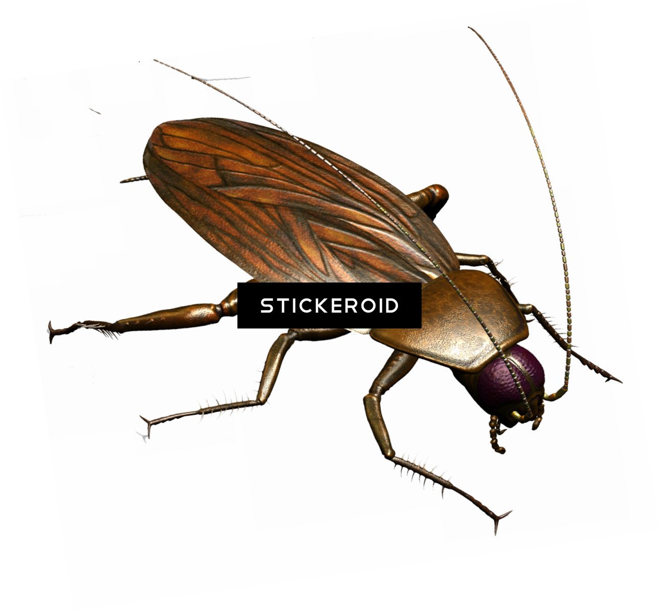 Roach - Firefly (1288x1196), Png Download