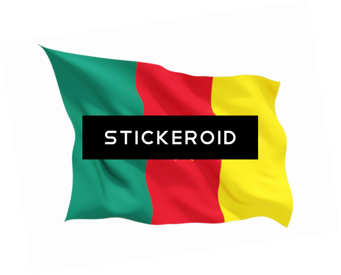 Cameroon Flag - Flag (699x564), Png Download