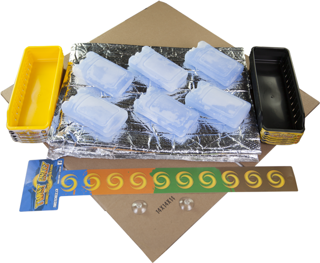 Present (800x533), Png Download