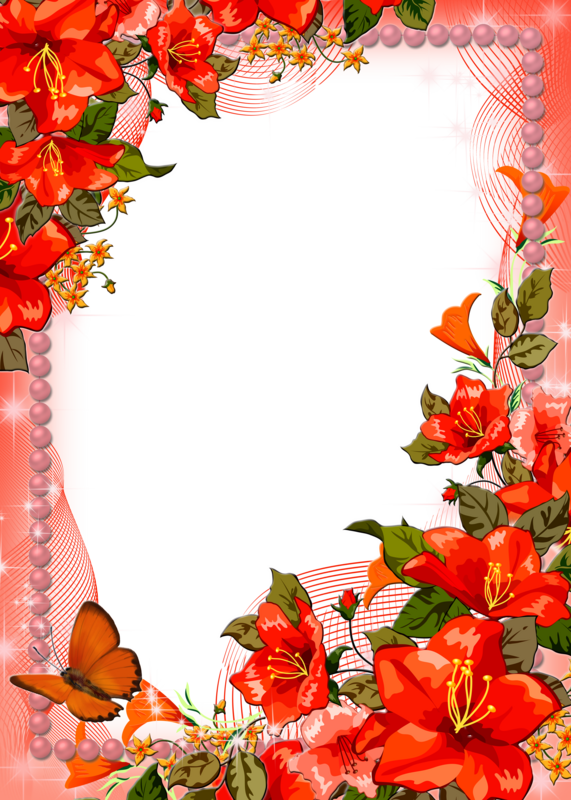 Borders For Paper, Flower Frame, Boarders, Macro Photography, - Autocollants Muraux Me147 Première Vue, L'amour Des (571x800), Png Download