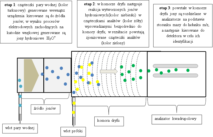 Ptr-ms Z Analizatorem Kwadrupolowym, Schemat - Proton-transfer-reaction Mass Spectrometry (806x520), Png Download