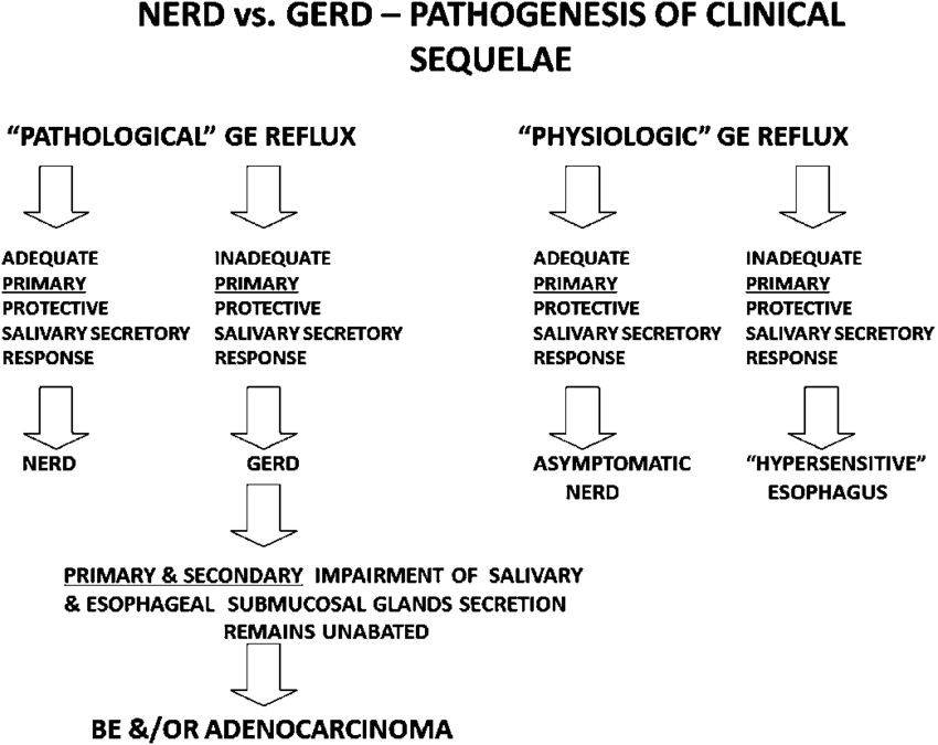 Despite Pathological Gastroesophageal Reflux, Patients - Gerd Vs Nerd (850x675), Png Download