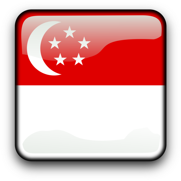 Flag Of Singapore National Flag Lion Head Symbol Of - Clip Art Singapore Flag (750x750), Png Download