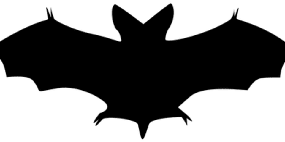 Black Bat No Background (960x480), Png Download