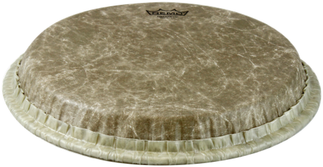 Remo 11 Fiberskyn Conga Head / Tucked (1200x1200), Png Download