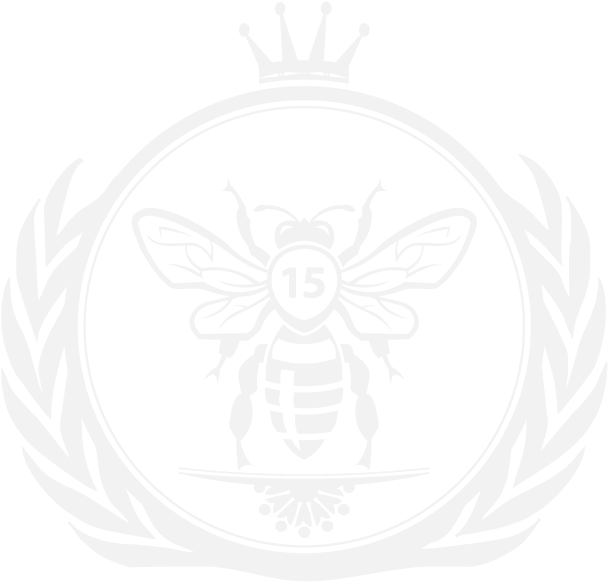 White Apiarian Genetics Logo Icon - Socialist Flag Of Ireland (635x635), Png Download