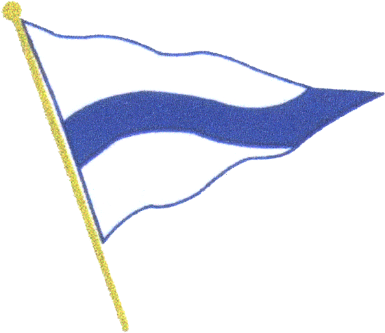 This $0 Fake Dues Page Exercise The Anti Double Pay - Flag (900x900), Png Download