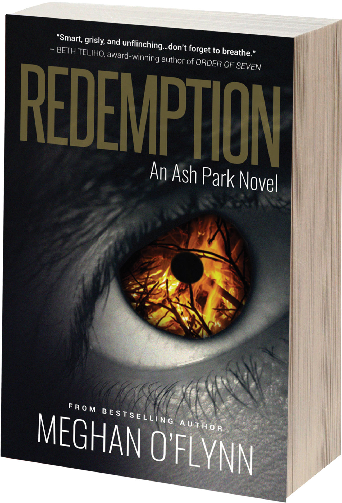 Redemption: An Ash Park Novel [book] (1600x2125), Png Download