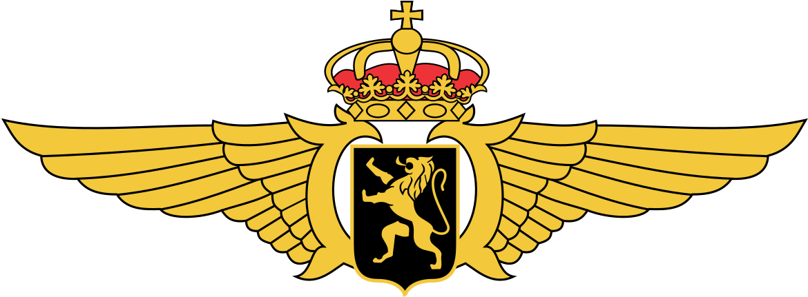 Belgian Air Force Logo (1200x454), Png Download