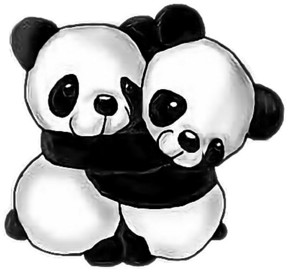 Panda Hugs Pandahug Friends Animals Wildanimals Blackan - Imagenes De Panditas (604x640), Png Download
