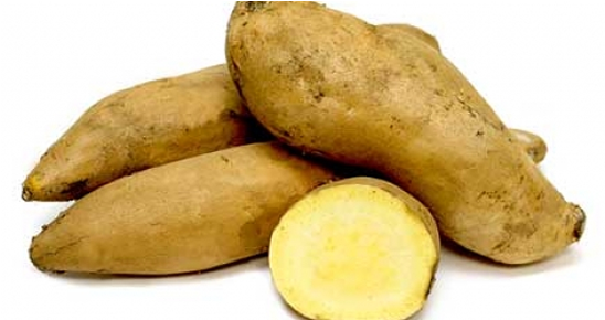 Sweet Potato - Patate Blanche Douce (600x600), Png Download
