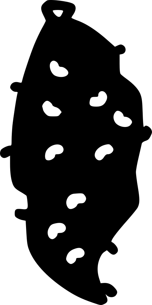 Kitchen Vegetable Meals Root Sweet Potato Comments (490x980), Png Download