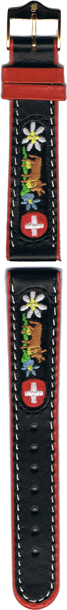 Share - Strap (591x2953), Png Download