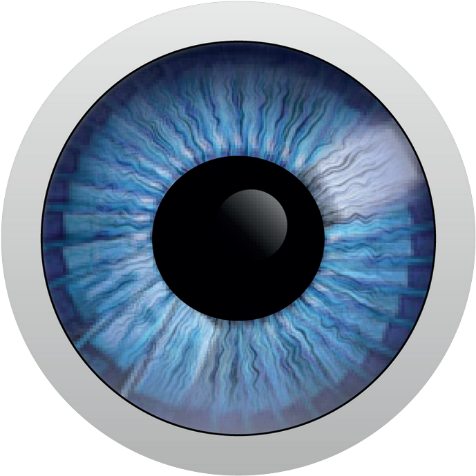 Circle (694x900), Png Download