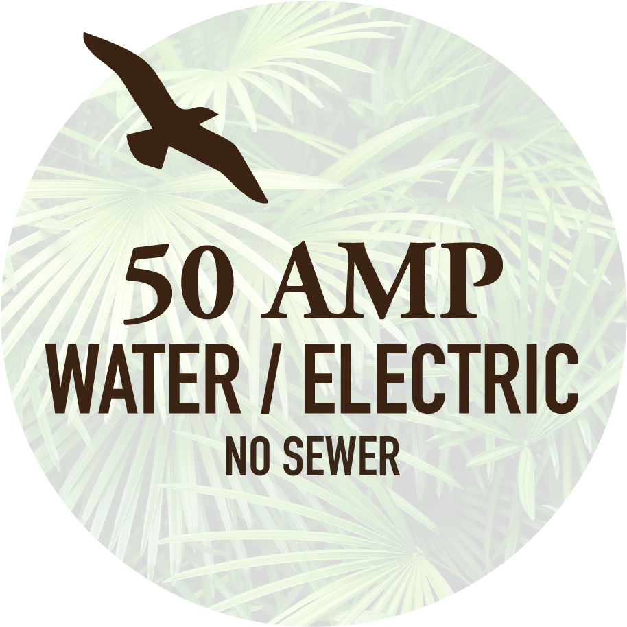 Electricity (1000x1000), Png Download