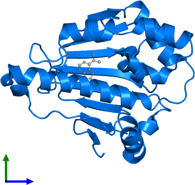 <div Class='caption-body'>pdb Entry 4fcp Contains 1 - Graphic Design (800x800), Png Download