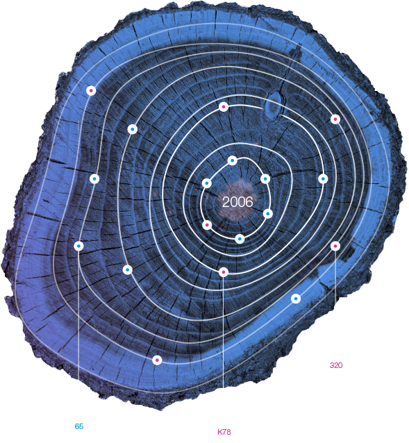 Request Demo - Analytics (589x638), Png Download