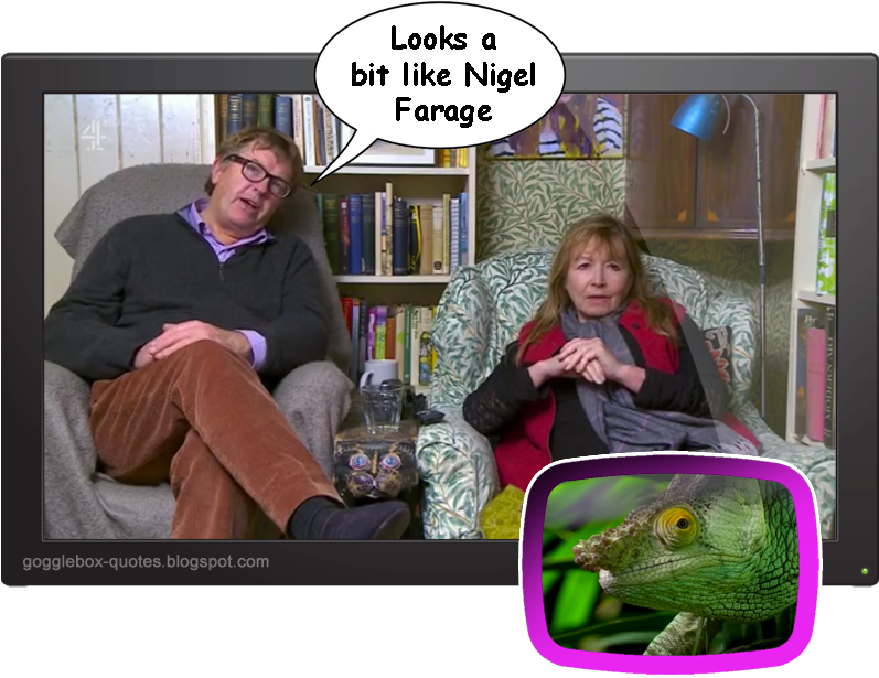 Hashtag On Twitter - Carolina Anole (796x623), Png Download