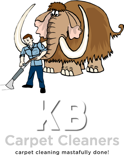 Carpet Cleaners (530x680), Png Download