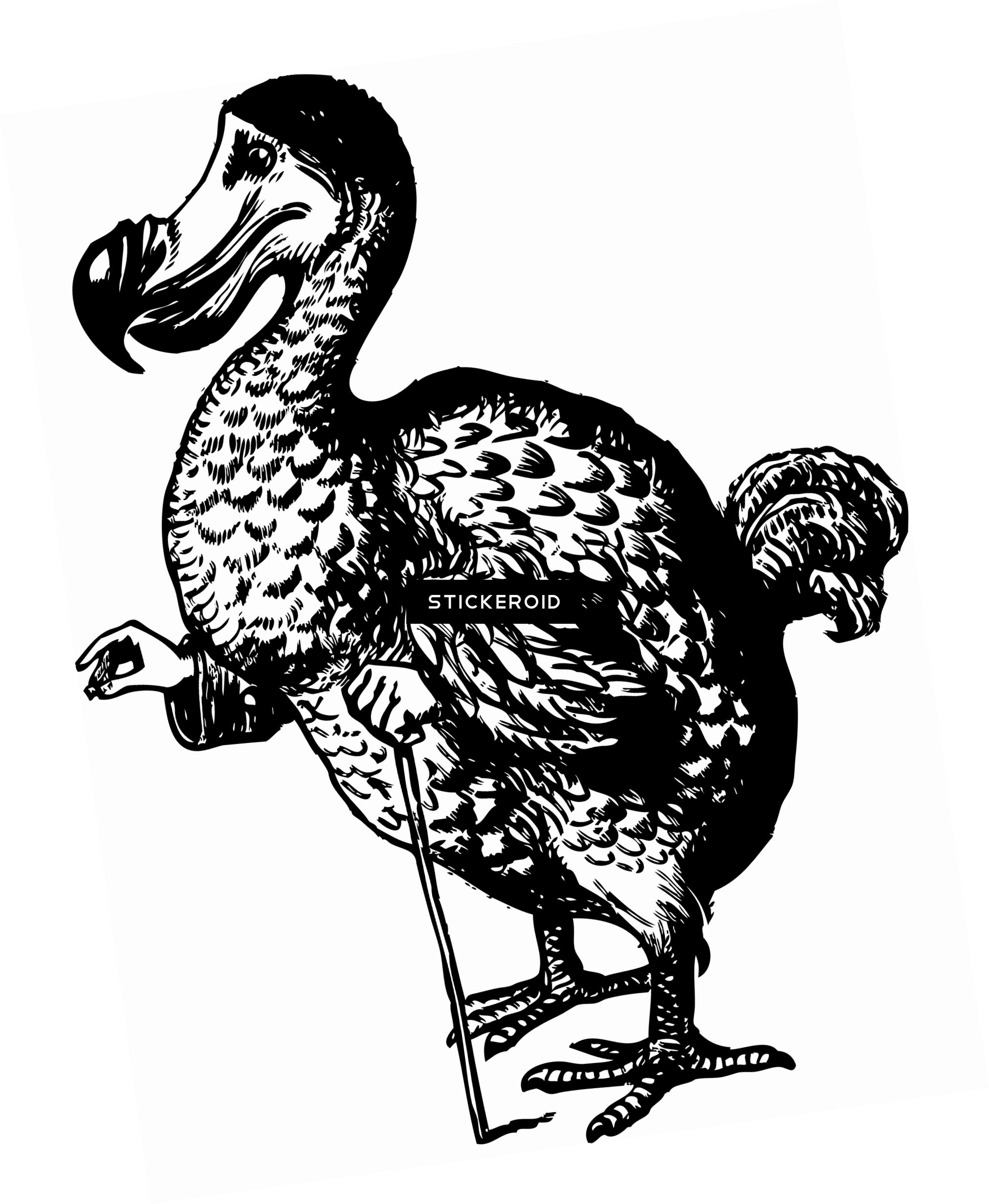 Dodo Alice - Alice's Adventures In Wonderland Dodo (2023x2463), Png Download