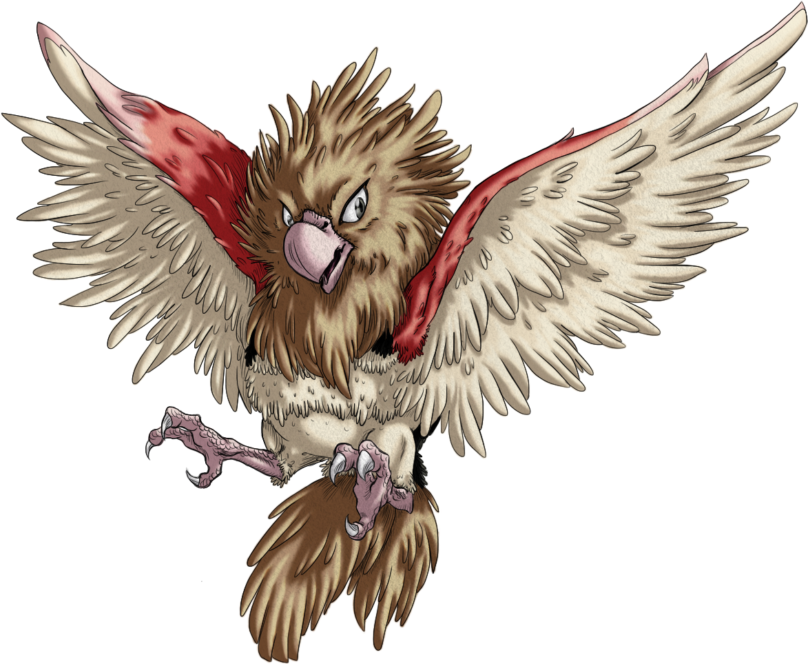 021 Spearow (1236x976), Png Download