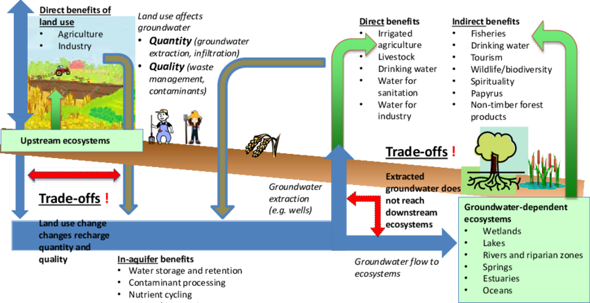 Conceptual Diagram Of The Multitude Of Ecosystem Services - Ecosystem (850x437), Png Download