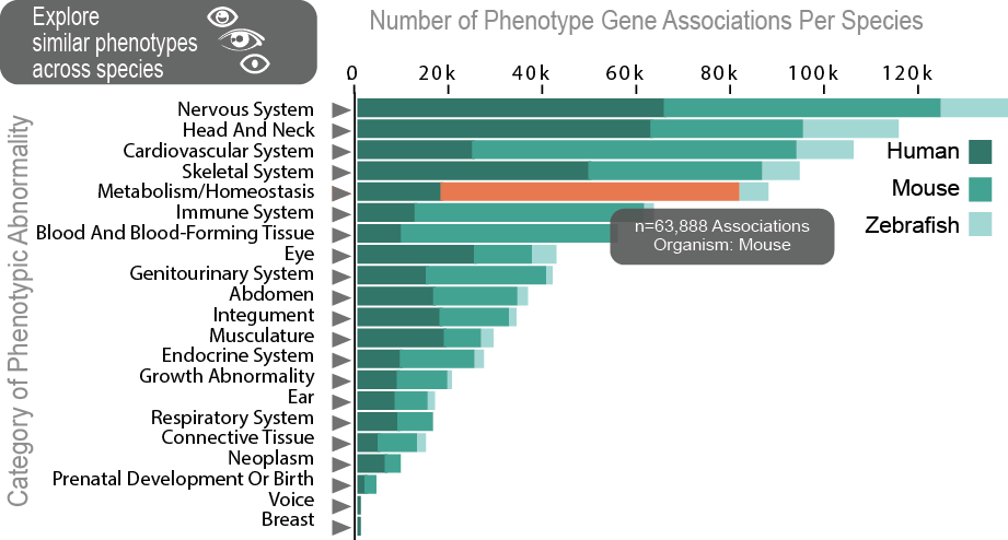 Explore Phenotypes - Brain Development Across Species (921x494), Png Download