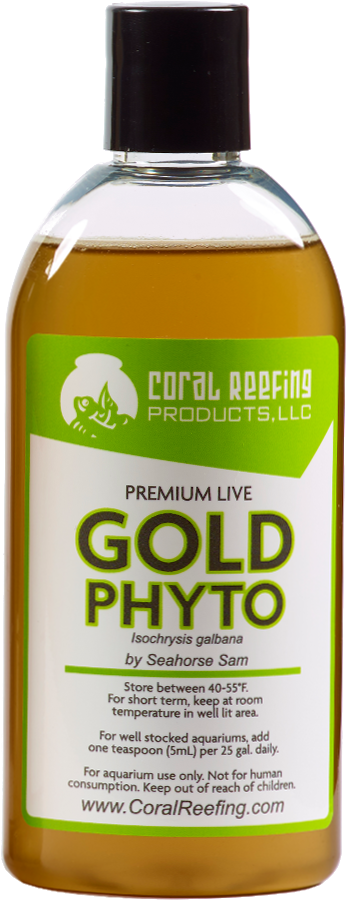 Home / Phytoplankton (1000x1000), Png Download