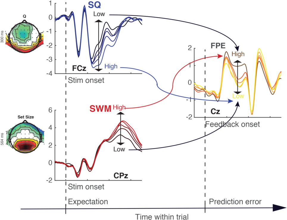 Rlwm Figure - Neural Computation (1000x777), Png Download