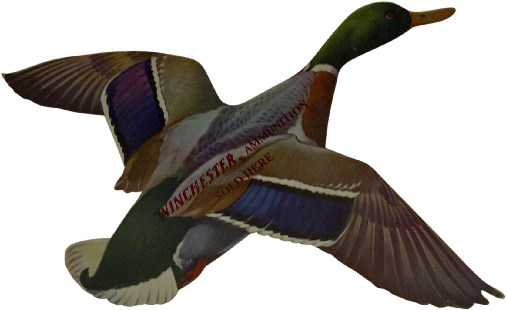 Vintage Duck Advertising Sign - Mallard (1853x1134), Png Download