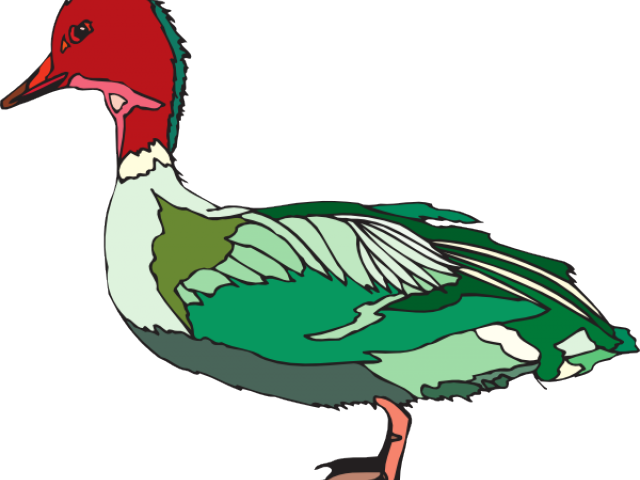 Clip Art (640x480), Png Download