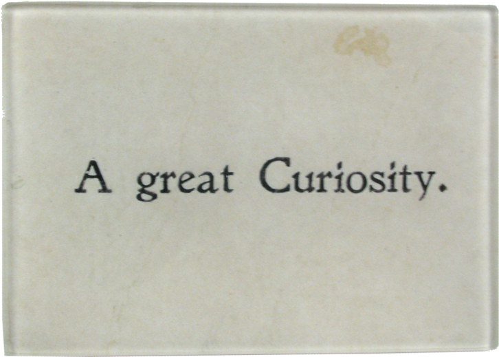 Book (800x800), Png Download