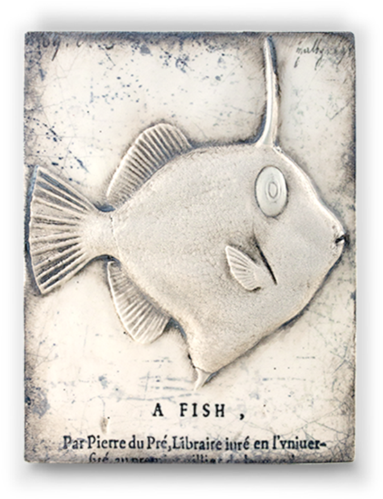 T-382 “curiosity” - Sea (720x720), Png Download