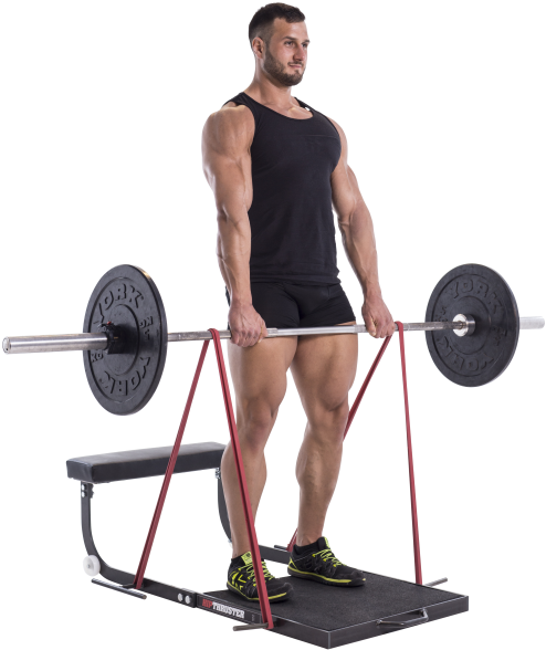 Hip Thruster - Hip (533x800), Png Download