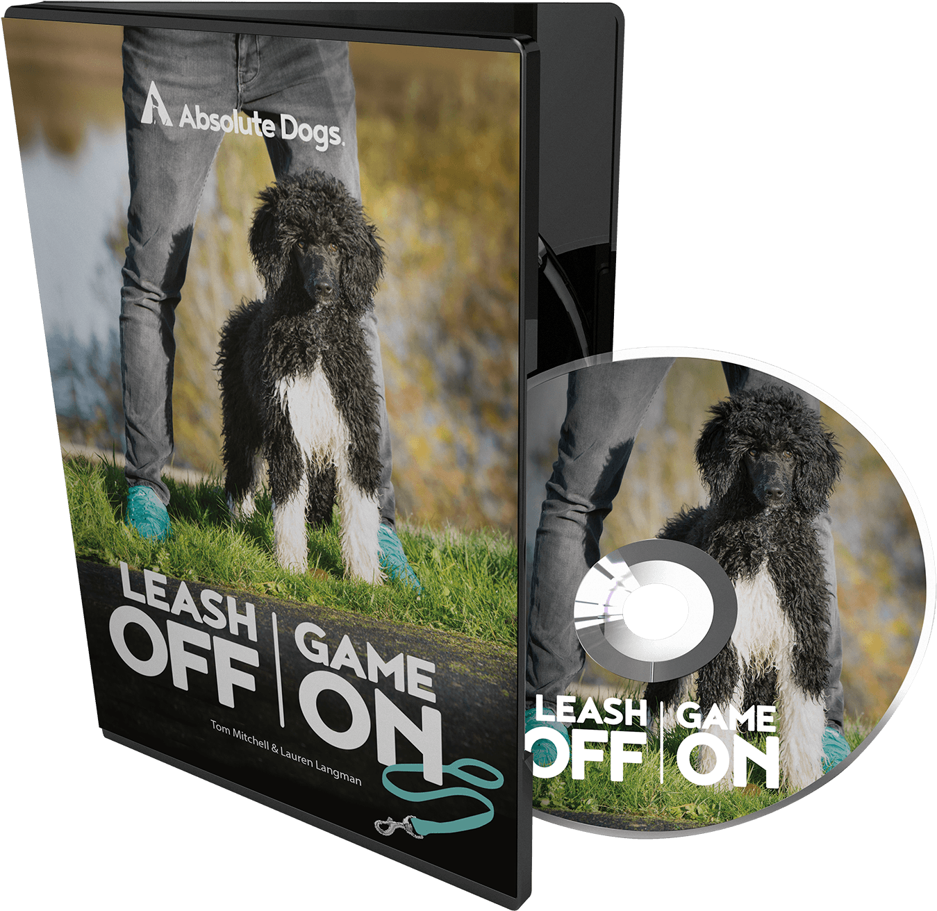 I Would Recommend Logo To Anyone Who Is Struggling (1525x1521), Png Download