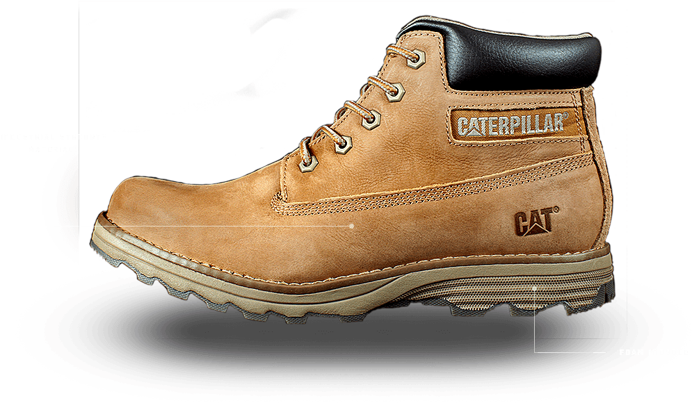 Check The Cat Page At Ebates For Exclusive Coupons (1600x1119), Png Download