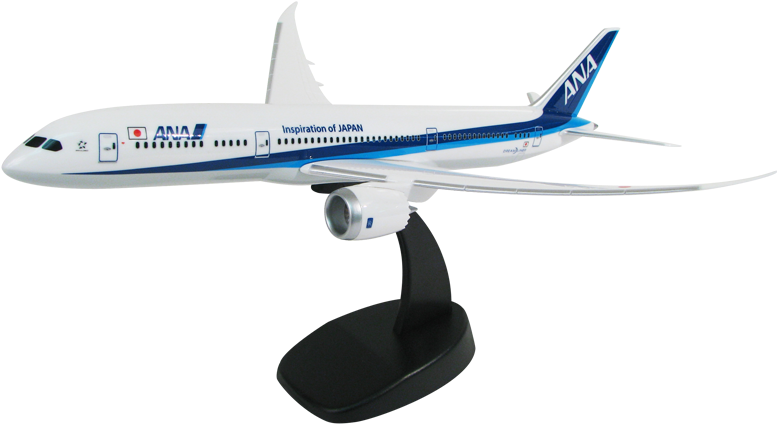1/200 Scale Boeing 787 Pacmin Economy Model In Ana (800x600), Png Download