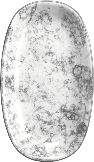 Rocks Black Gourmet Oval Plate 15×8 - Rbr Grm 01 Stb Bonna (600x600), Png Download